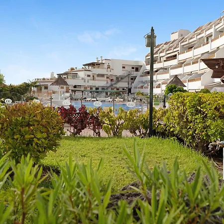 Geranios 304 * Адехе