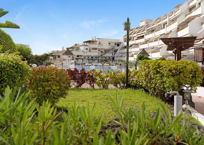 Geranios 304 * אדחה